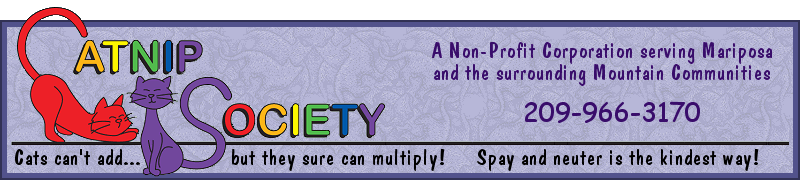 Catnip Society