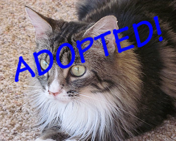 Adopted!